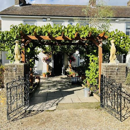 The Greyhound Inn Sydling St Nicholas Extérieur photo