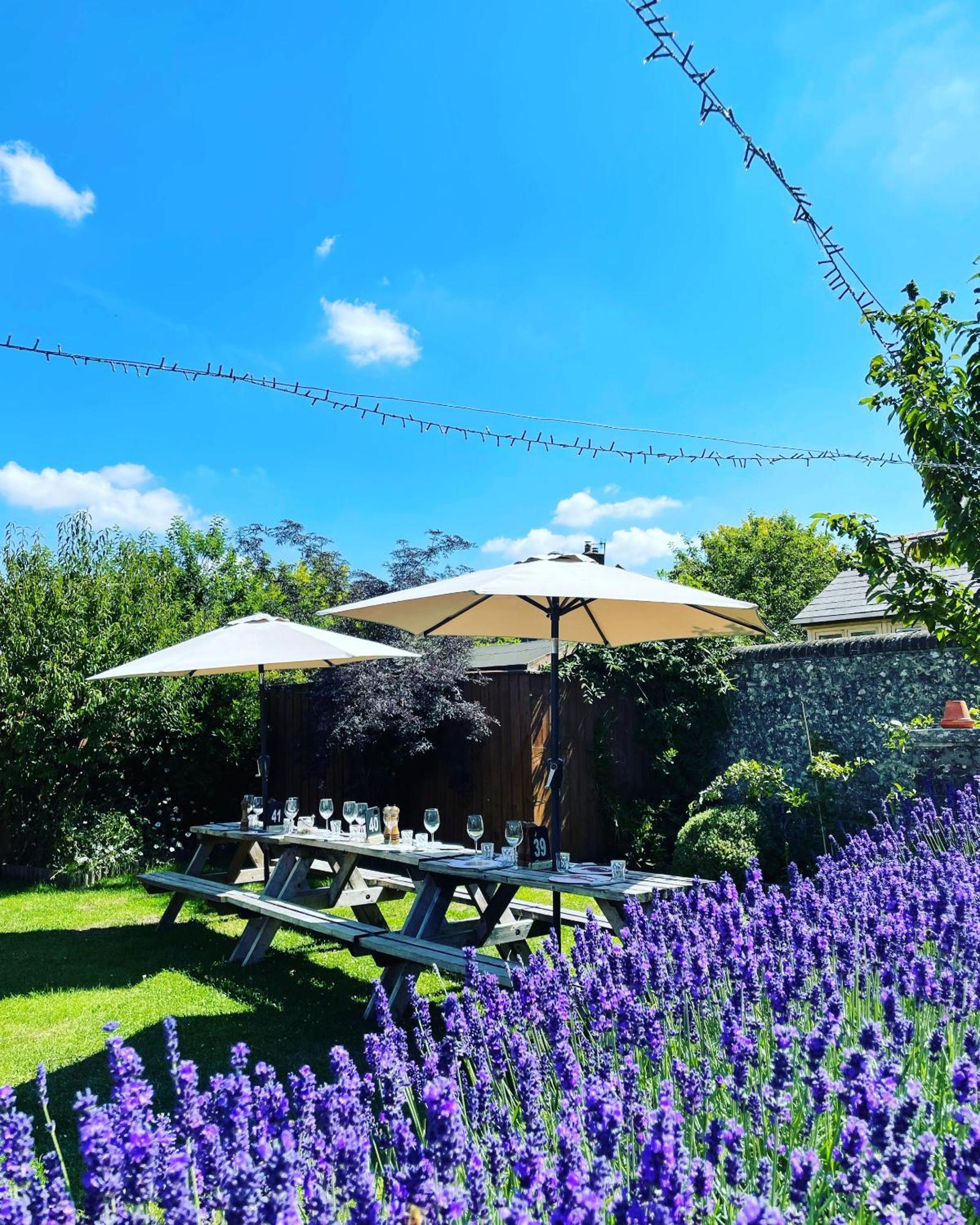 The Greyhound Inn Sydling St Nicholas Extérieur photo